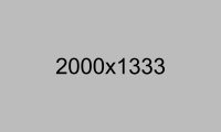 arca-small-trestle-based-chair-true-design-213237-vrel7be60c60 arca-small-trestle-based-chair-true-design-213237-vrel7be60c60