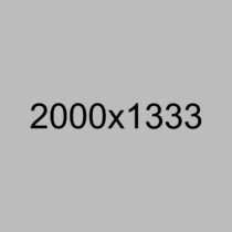 arca-small-trestle-based-chair-true-design-213237-vrel7be60c60 arca-small-trestle-based-chair-true-design-213237-vrel7be60c60